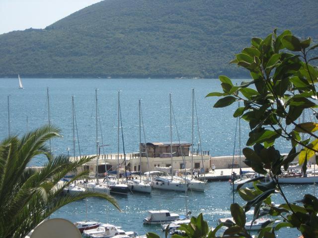 Apartments Forte Mare Herceg Novi Dış mekan fotoğraf
